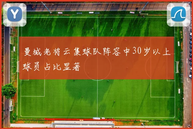 曼城老将云集球队阵容中30岁以上球员占比显著